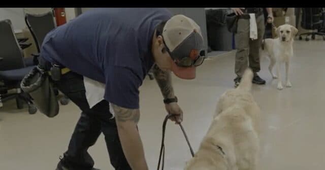 Exclusive Insight into ATF Canine Training